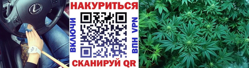 Купить закладки  Сосновый Бор  Бошки Шишки гибрид 